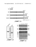 CHIMERIC HIRUDIN PROTEINS diagram and image