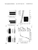 METHOD OF REDUCING INJURY TO MAMMALIAN CELLS diagram and image