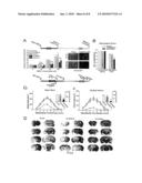 METHOD OF REDUCING INJURY TO MAMMALIAN CELLS diagram and image