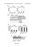 Compositions Comprising a GPR109 Ligand For Treating Disorders of the Digestive Tract and/or Cancer diagram and image