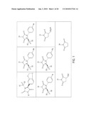 IMIDATED BIOPOLYMER ADHESIVE AND HYDROGEL diagram and image