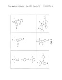 IMIDATED BIOPOLYMER ADHESIVE AND HYDROGEL diagram and image