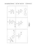 IMIDATED BIOPOLYMER ADHESIVE AND HYDROGEL diagram and image