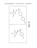 IMIDATED BIOPOLYMER ADHESIVE AND HYDROGEL diagram and image