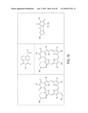 IMIDATED BIOPOLYMER ADHESIVE AND HYDROGEL diagram and image