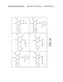 IMIDATED BIOPOLYMER ADHESIVE AND HYDROGEL diagram and image