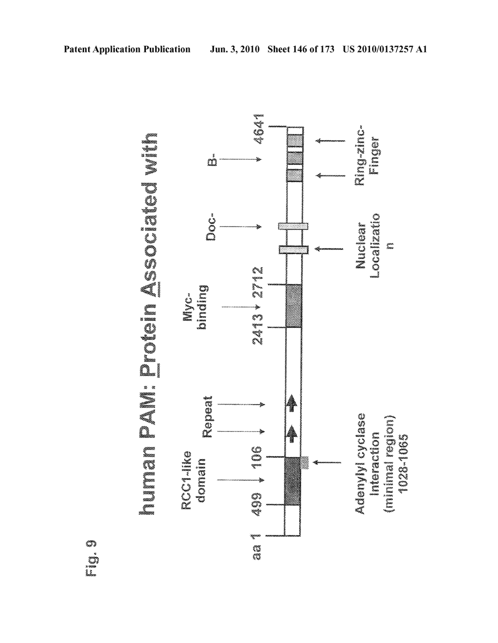 METHOD FOR ALLEVIATING PAIN USING SPHINGOSINE-1-PHOSPHATE AND RELATED COMPOUNDS, AND ASSAYS FOR IDENTIFYING SUCH COMPOUNDS - diagram, schematic, and image 147