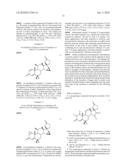 PROGESTATIONAL 3-(6,6-ETHYLENE-17B-HYDROXY-3-OXO-17A-PREGNA-4-ENE-17A-YL)PROPIONIC ACID G-LACTONES diagram and image