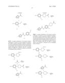 NOVEL AMIDO DERIVATIVES AND THEIR USE AS POSITIVE ALLOSTERIC MODULATORS OF METABOTROPIC GLUTAMATE RECEPTORS diagram and image