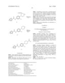 NOVEL AMIDO DERIVATIVES AND THEIR USE AS POSITIVE ALLOSTERIC MODULATORS OF METABOTROPIC GLUTAMATE RECEPTORS diagram and image