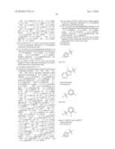 NOVEL AMIDO DERIVATIVES AND THEIR USE AS POSITIVE ALLOSTERIC MODULATORS OF METABOTROPIC GLUTAMATE RECEPTORS diagram and image