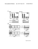 TNIK INHIBITOR AND THE USE diagram and image