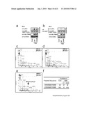 TNIK INHIBITOR AND THE USE diagram and image