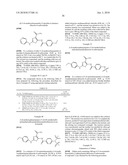 TNIK INHIBITOR AND THE USE diagram and image