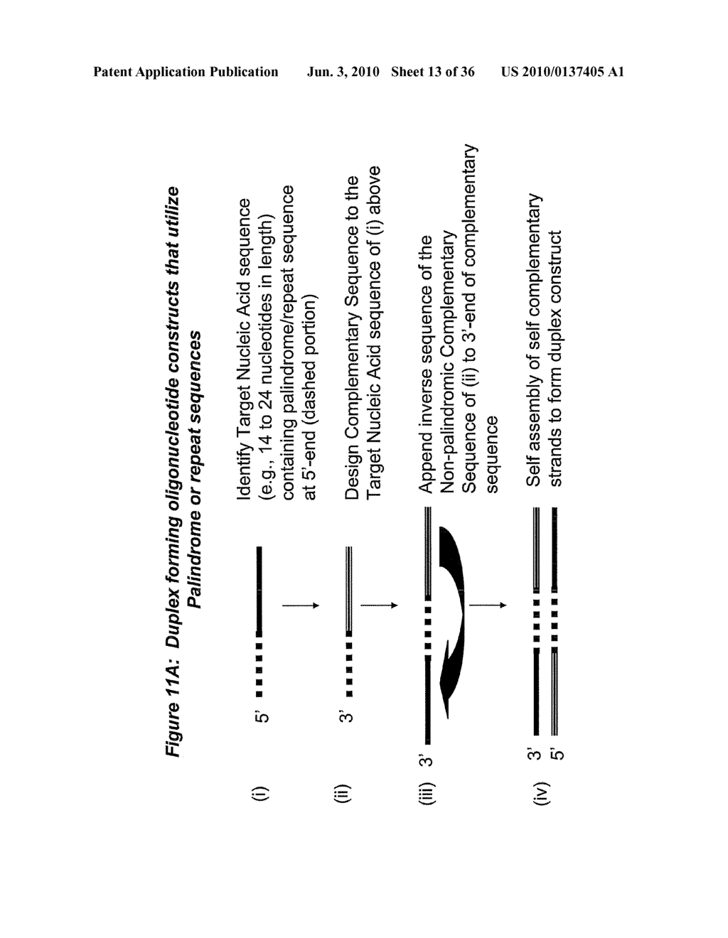 RNA Interference Mediated Inhibition of Cyclic Nucleotide Type 4 Phosphodiesterase (PDE4B) Gene Expression Using Short Interfering Nucleic Acid (siNA) - diagram, schematic, and image 14