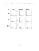 Compositions and Methods for the Treatment of Diseases Associated with Aberrant Cilia Assembly and Regulation diagram and image
