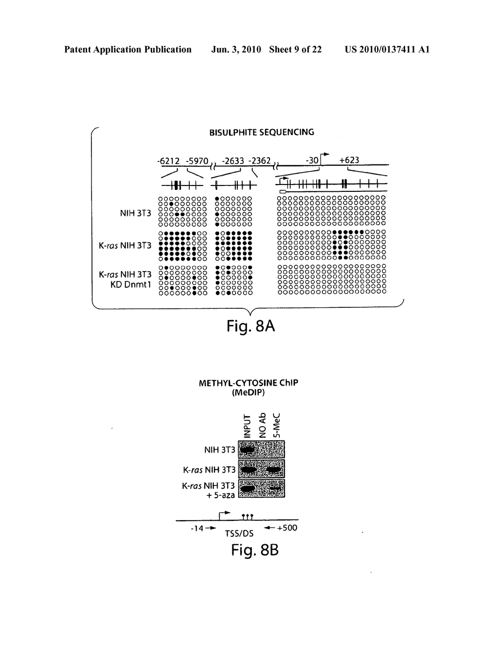 RAS-MEDIATED EPIGENETIC SILENCING EFFECTORS AND USES THEREOF - diagram, schematic, and image 10