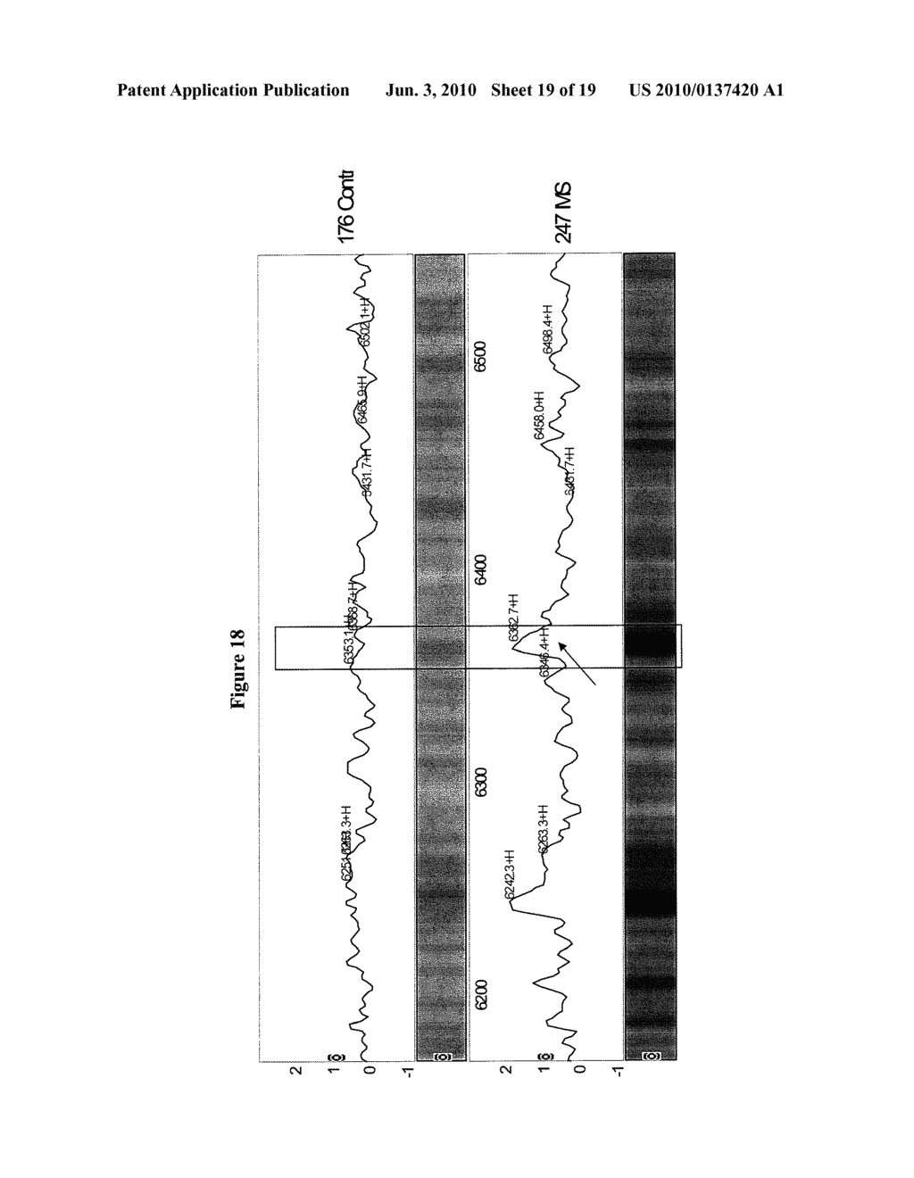 Methods and Compositions for Diagnosis and Treatment of Multiple Sclerosis - diagram, schematic, and image 20