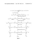 AMPHIPHILIC NETWORKS, PROCESS FOR PRODUCING SAME, AND PRODUCTS MADE THEREFROM diagram and image