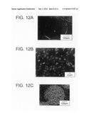 POLYSTYRENE-MALEIC ANHYDRIDE/MAGNESIUM HYDROXIDE COMPOSITE PARTICLES AND METHODS FOR PREPARING THE SAME diagram and image