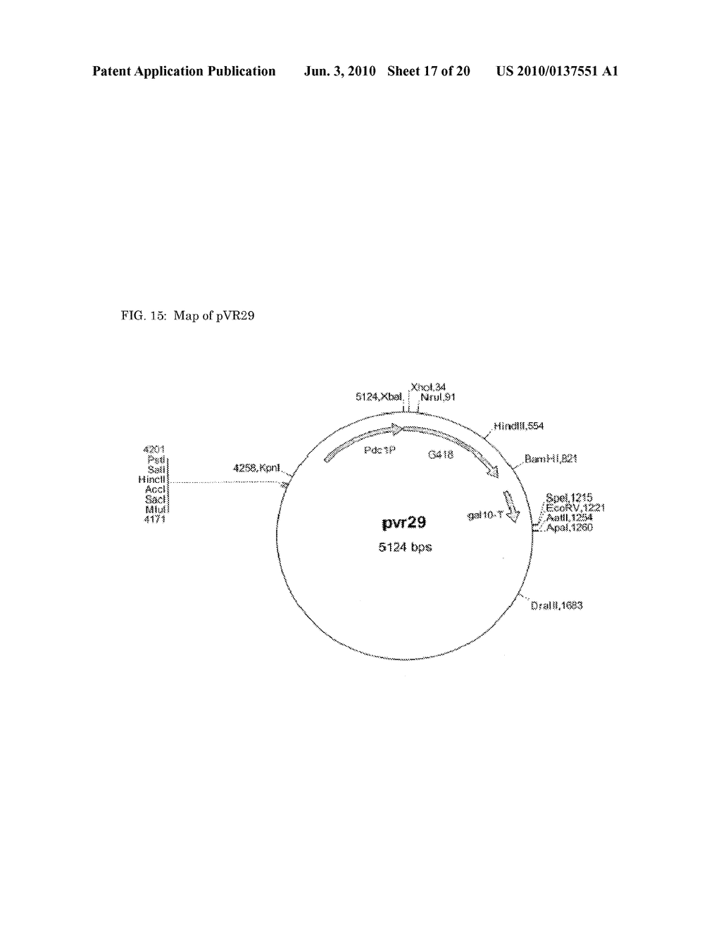 Methods and materials for the production of D-lactic acid in yeast - diagram, schematic, and image 18