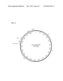 Cysteine Protease Autoprocessing of Fusion Proteins diagram and image