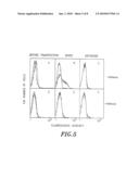 POLYPEPTIDE OF N-ACETYLGLUCOSAMINE-6-O-SULFOTRANSFERASE AND DNA ENCODING THE SAME diagram and image