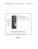 UNIVERSAL BIOLOGICAL SAMPLE PROCESSING diagram and image