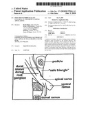 Injection of fibrin sealant including an anesthetic in spinal applications diagram and image