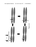 TRANSGENIC PLANTS WITH CONTROLLED DISTRIBUTION OF A TRAIT TO PROGENY diagram and image