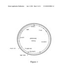 DNA Molecules from Maize and Methods of Use Thereof diagram and image