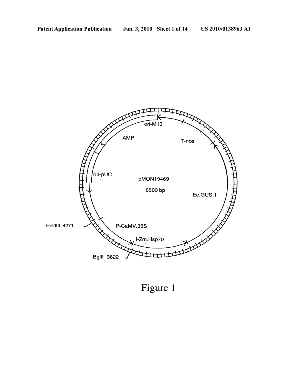 DNA Molecules from Maize and Methods of Use Thereof - diagram, schematic, and image 02