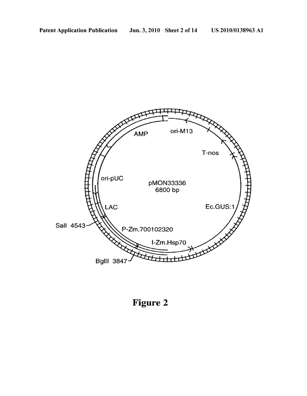 DNA Molecules from Maize and Methods of Use Thereof - diagram, schematic, and image 03