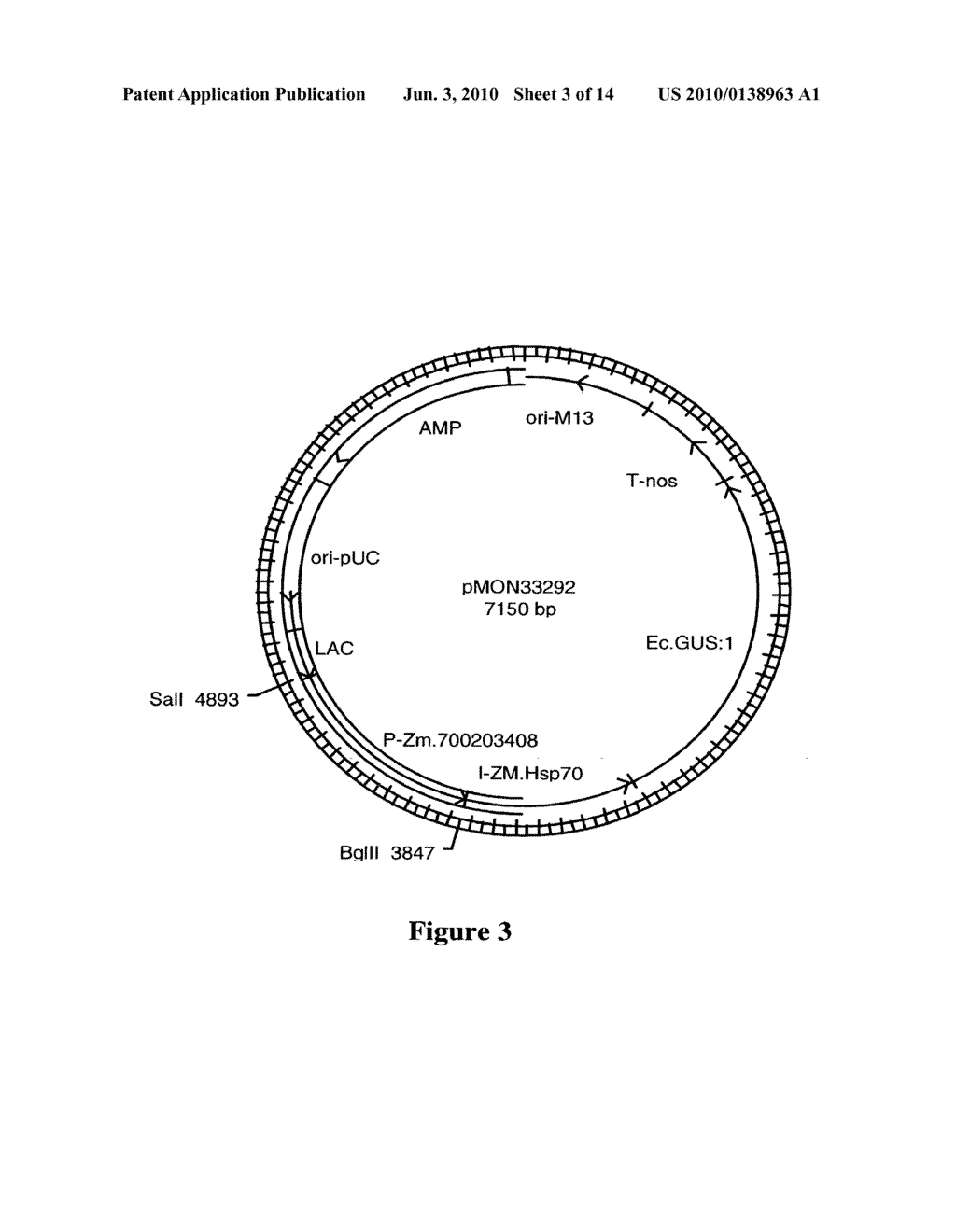 DNA Molecules from Maize and Methods of Use Thereof - diagram, schematic, and image 04