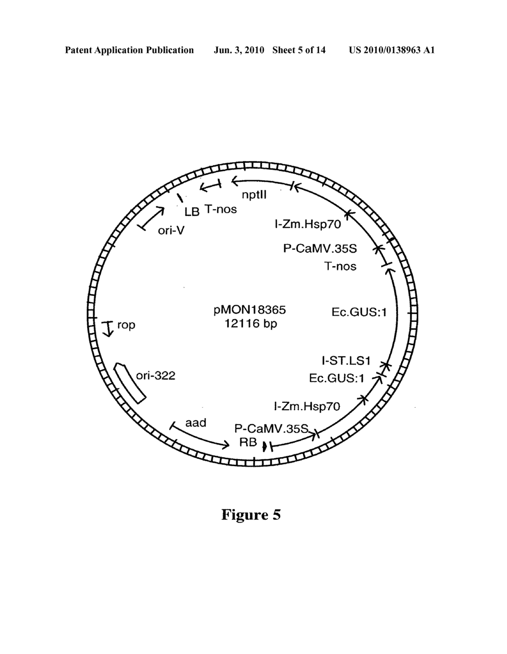 DNA Molecules from Maize and Methods of Use Thereof - diagram, schematic, and image 06