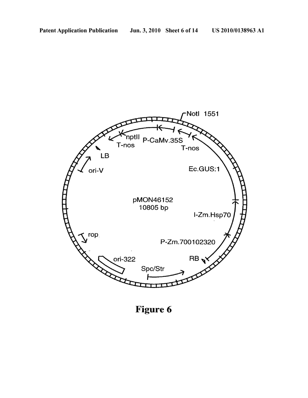 DNA Molecules from Maize and Methods of Use Thereof - diagram, schematic, and image 07