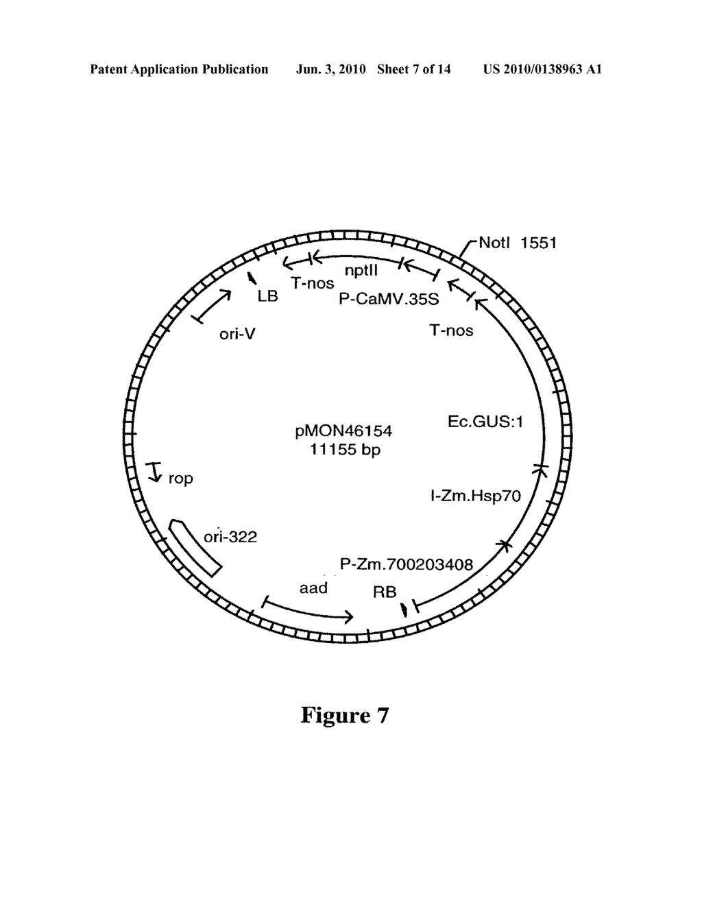 DNA Molecules from Maize and Methods of Use Thereof - diagram, schematic, and image 08