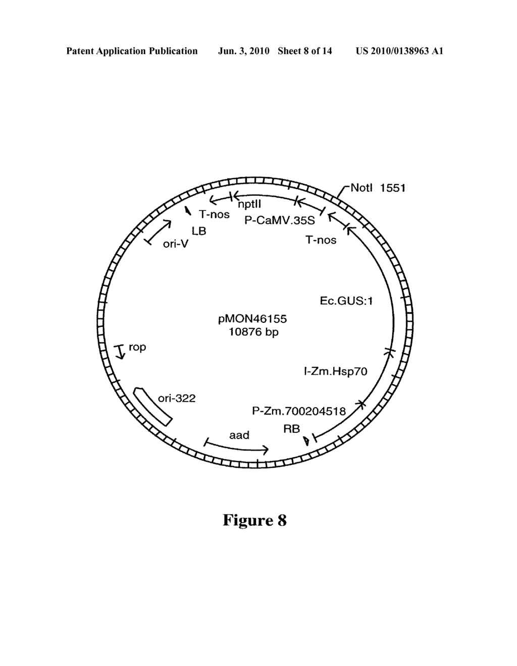 DNA Molecules from Maize and Methods of Use Thereof - diagram, schematic, and image 09