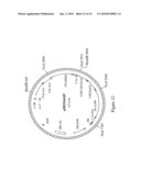 DNA Molecules from Maize and Methods of Use Thereof diagram and image