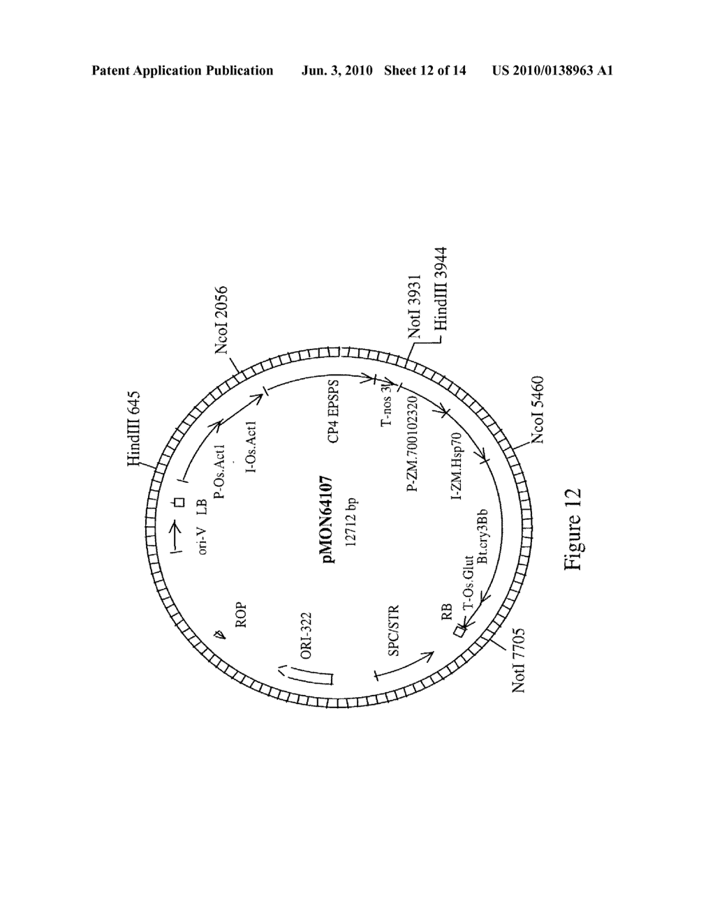 DNA Molecules from Maize and Methods of Use Thereof - diagram, schematic, and image 13