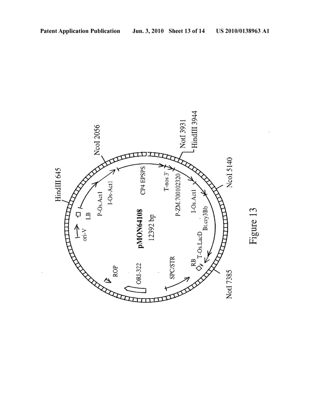 DNA Molecules from Maize and Methods of Use Thereof - diagram, schematic, and image 14