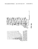 MULTIPURPOSE COKE PLANT FOR SYNTHETIC FUEL PRODUCTION diagram and image