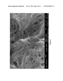 Instantaneous Electrodeposition of Metal Nanostructures on Carbon Nanotubes diagram and image