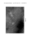 Instantaneous Electrodeposition of Metal Nanostructures on Carbon Nanotubes diagram and image