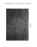 Instantaneous Electrodeposition of Metal Nanostructures on Carbon Nanotubes diagram and image