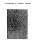 Instantaneous Electrodeposition of Metal Nanostructures on Carbon Nanotubes diagram and image