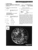 GROUP IV METAL OXIDE MONOLITHIC COLUMNS diagram and image