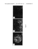 GROUP IV METAL OXIDE MONOLITHIC COLUMNS diagram and image