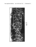 Abrasion Resistant Track Shoe Grouser diagram and image