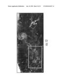 Abrasion Resistant Track Shoe Grouser diagram and image